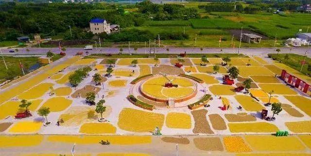 这个县城创造罚款收入下降“奇迹”开元棋牌试玩政府大楼旁可以摆摊(图4)