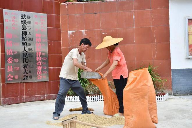 这个县城创造罚款收入下降“奇迹”开元棋牌试玩政府大楼旁可以摆摊(图6)
